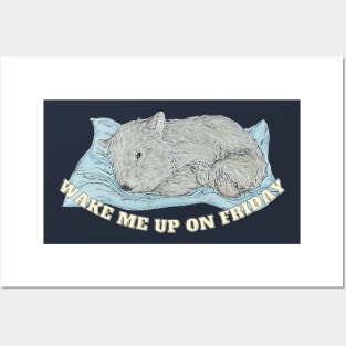 Sleeping wombat Posters and Art